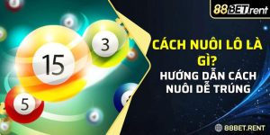 Cách nuôi lô là một phương pháp chơi lô đề hiệu quả