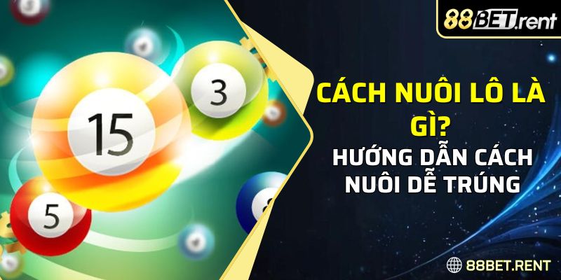 Cách nuôi lô là một phương pháp chơi lô đề hiệu quả