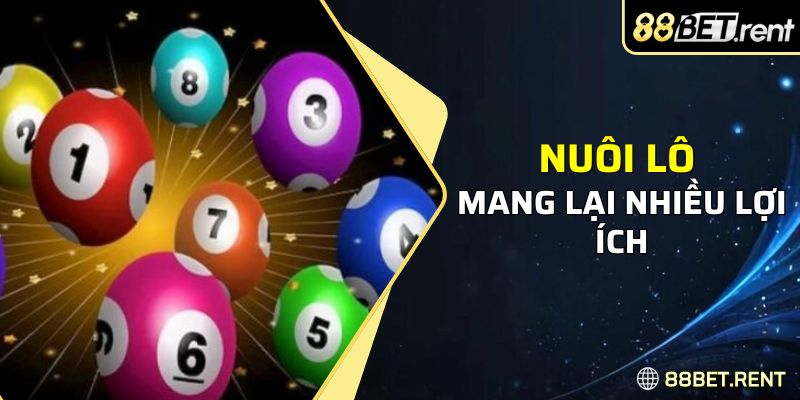 Nuôi lô mang lại nhiều lợi ích