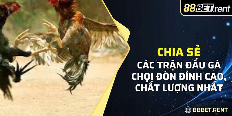 những trận gà chọi đòn đặc sắc