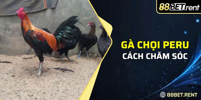 Cách chăm sóc dành cho loài giống