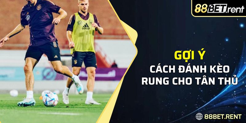 Gợi ý cách đánh kèo rung chi tiết cho các tân thủ